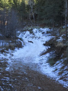 Icy Spot on Paul Intermann Trail in Manitou Springs
