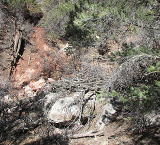 Looking Down Gulley Spring Canyon Garden of the Gods