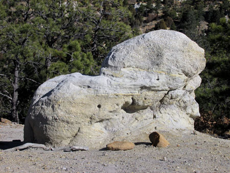 Pulpit Rock Lion Formation